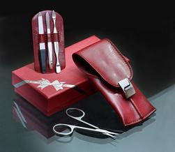 Purpurfarbiges Manicure Set