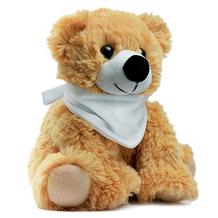 Maskottchen Teddybär SKAUT