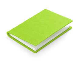 Notizbuch aus Filz hellgrün 80 Blatt